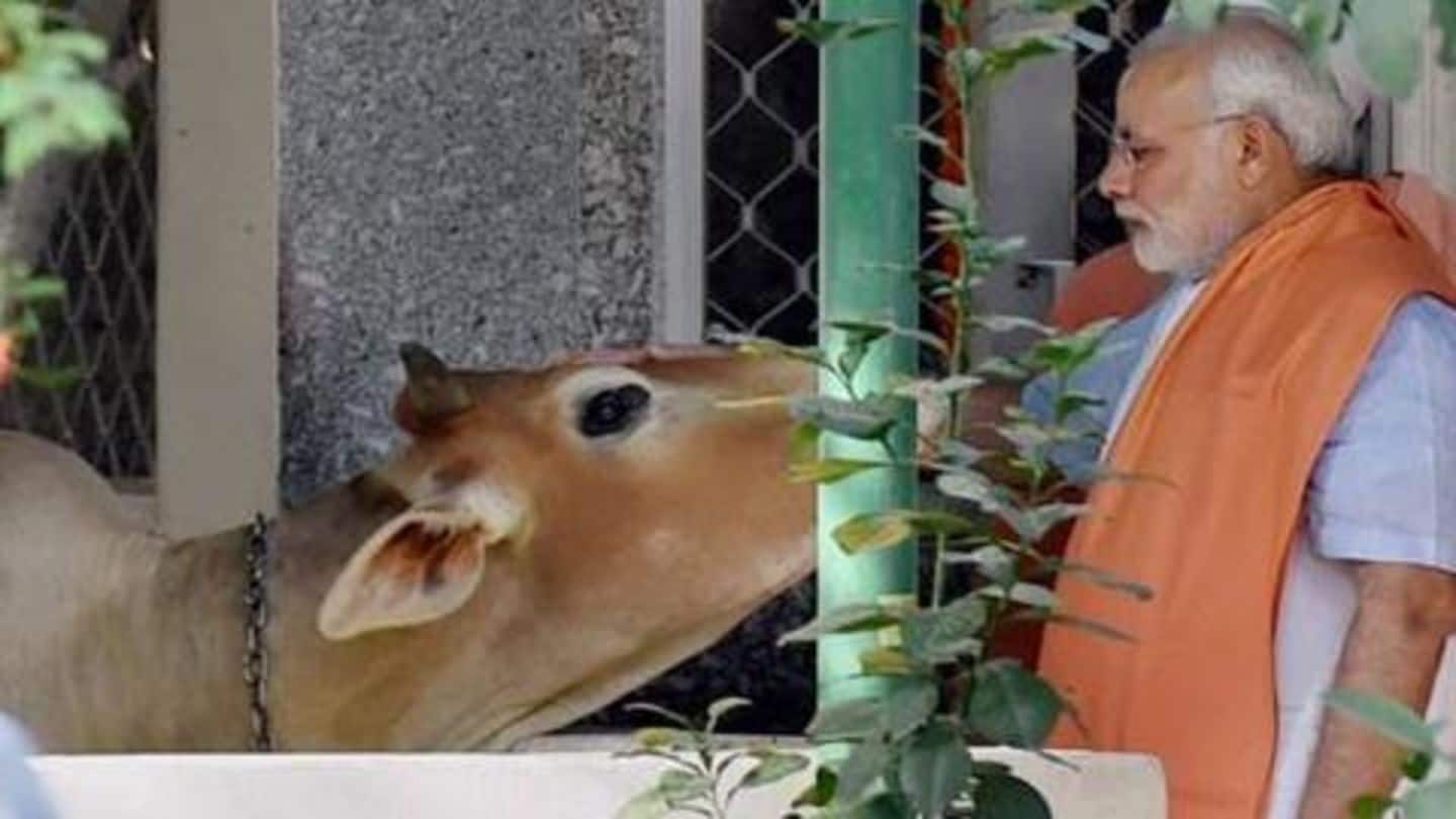 Cows and BJP: 5 times its ministers made silly remarks