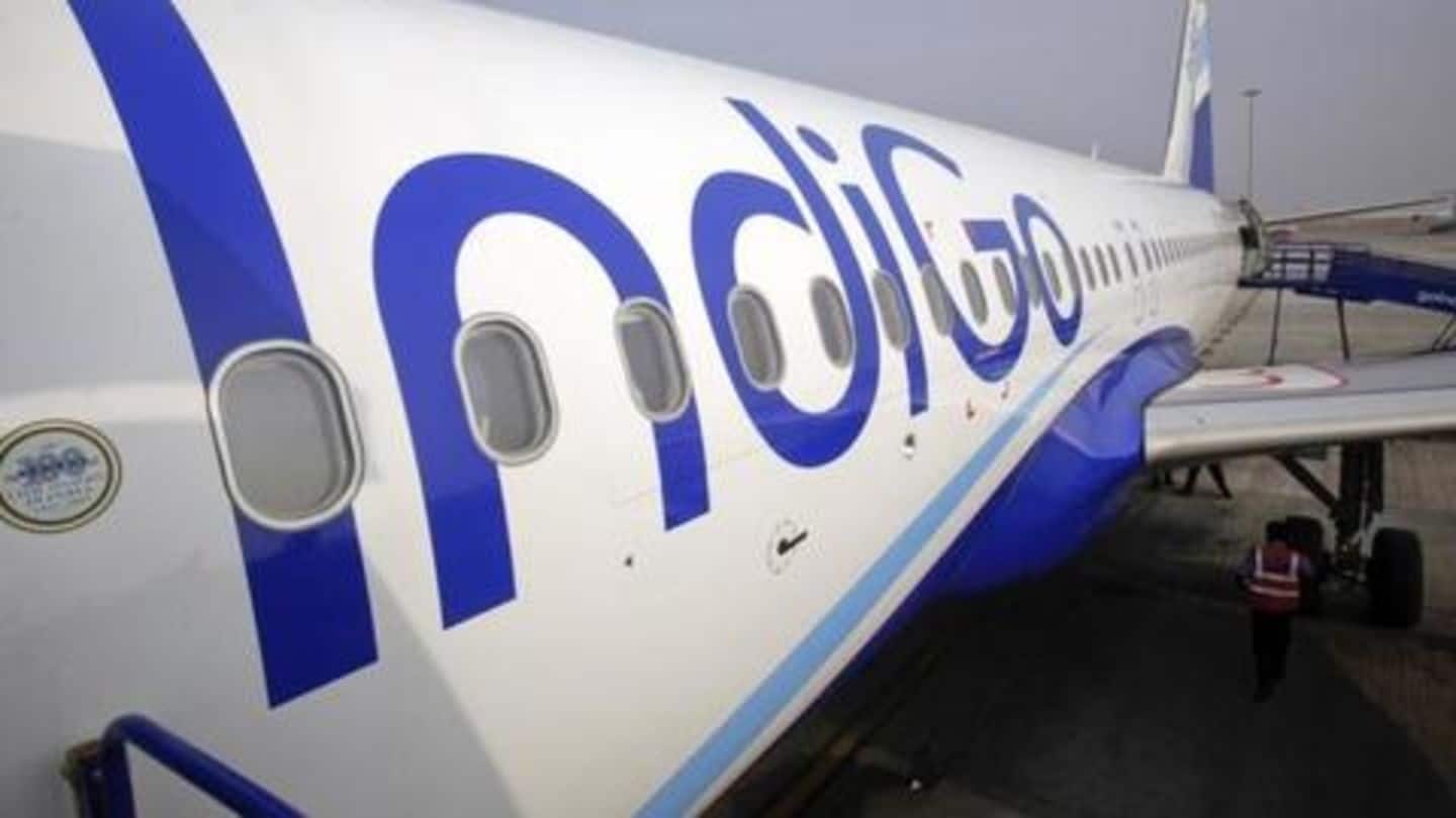 Others on Twitter slammed IndiGo Others on Twitter slammed IndiGo