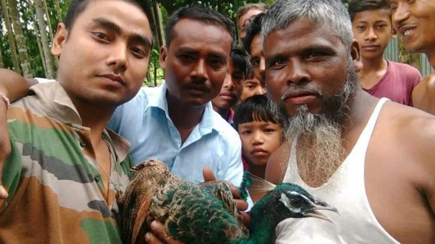 WB: Peacock dies after selfie-lovers manhandle it, pull its feathers
