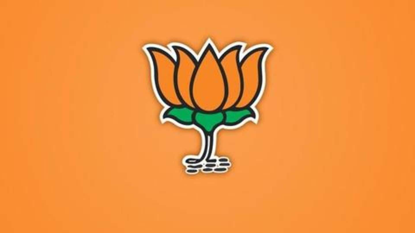 With new-found confidence, other BJP leaders also slammed Rahul With new-found confidence, other BJP leaders also slammed Rahul
