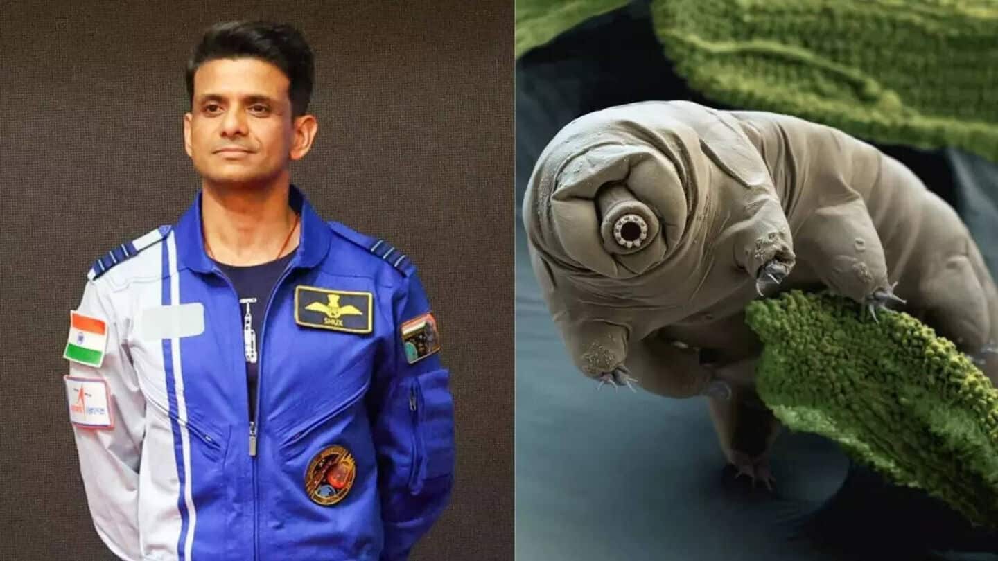 Shubhanshu Shukla to study tardigrades—microorganisms that survived several mass extinctions Shubhanshu Shukla to study tardigrades—microorganisms that survived several mass extinctions