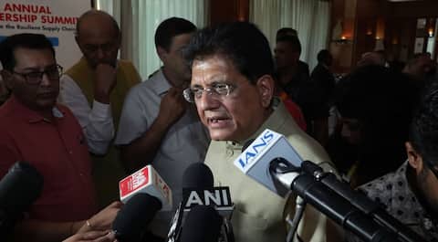 Rupee slump forces India to rethink import strategy