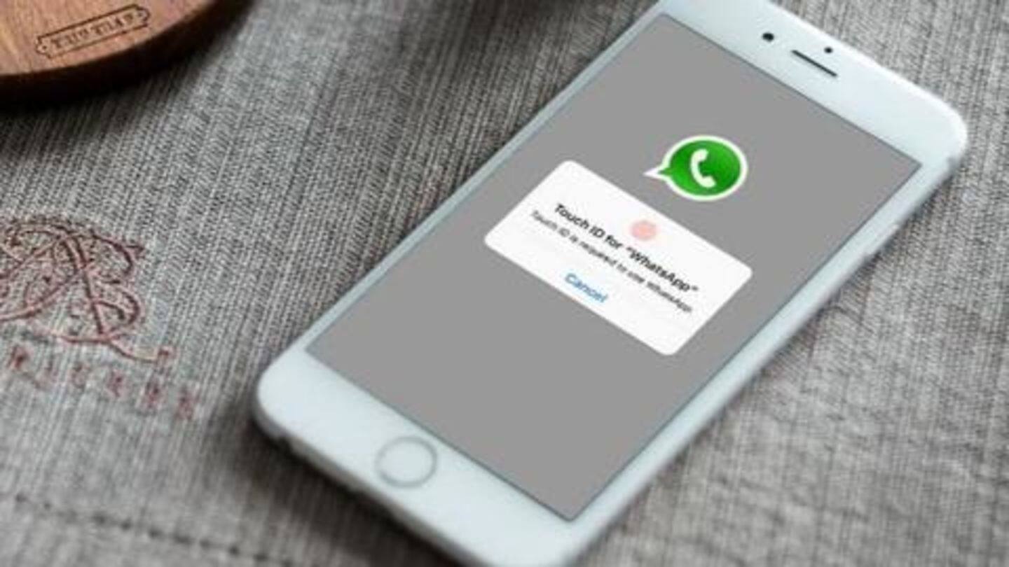How to turn on the feature on WhatsApp for iOS? How to turn on the feature on WhatsApp for iOS?