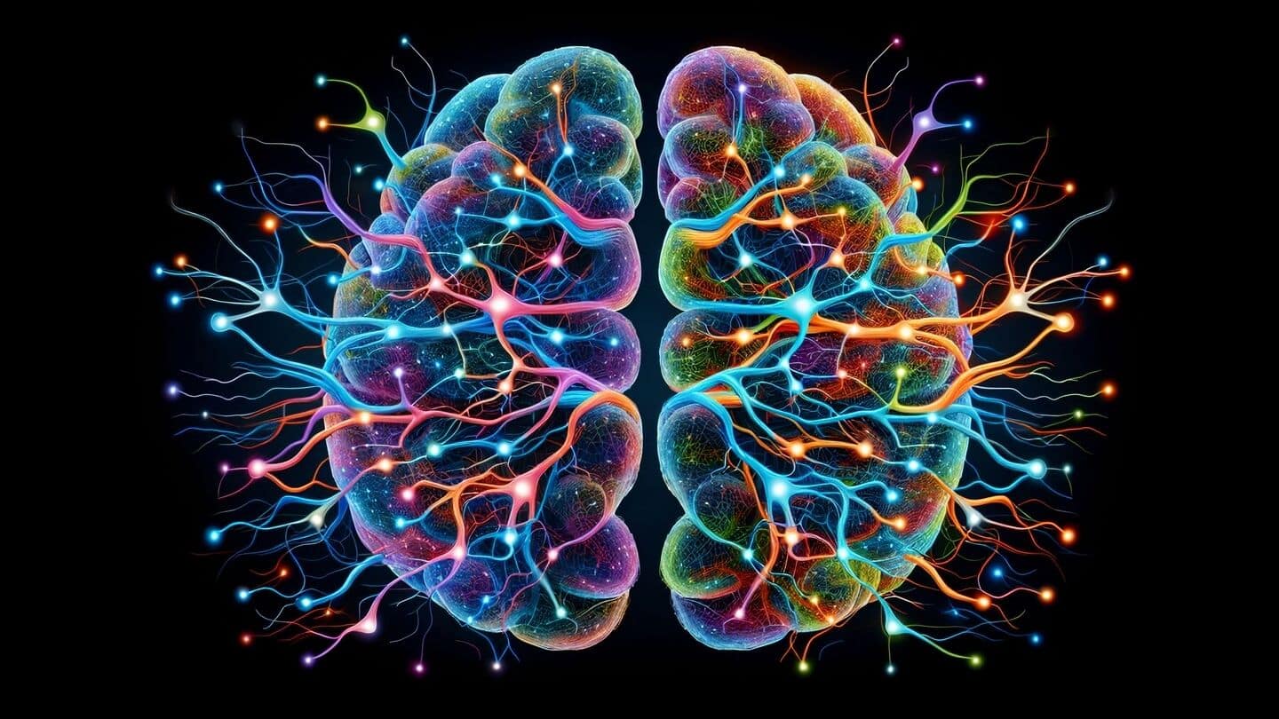 Scientists create brain map that could decode human consciousness
