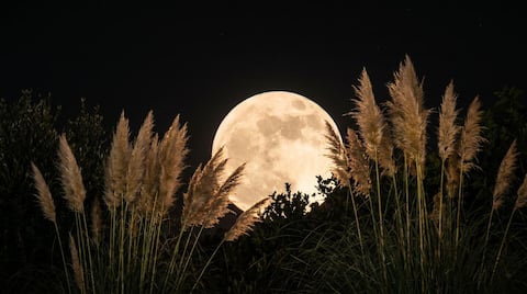 Flower Moon rises tonight: Why this full moon is special