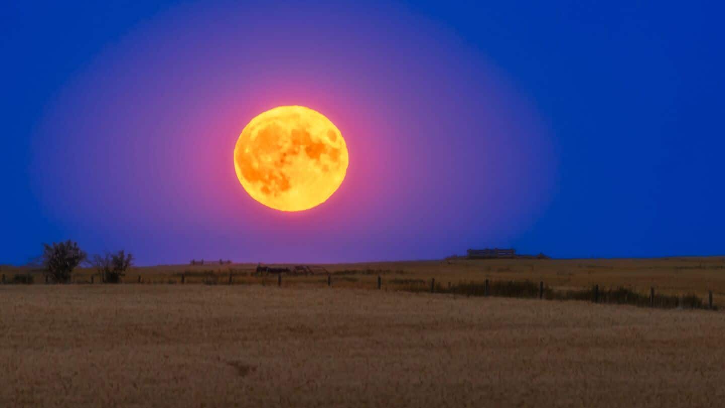 'Buck Moon' on July 10—What makes this full moon special 'Buck Moon' on July 10—What makes this full moon special
