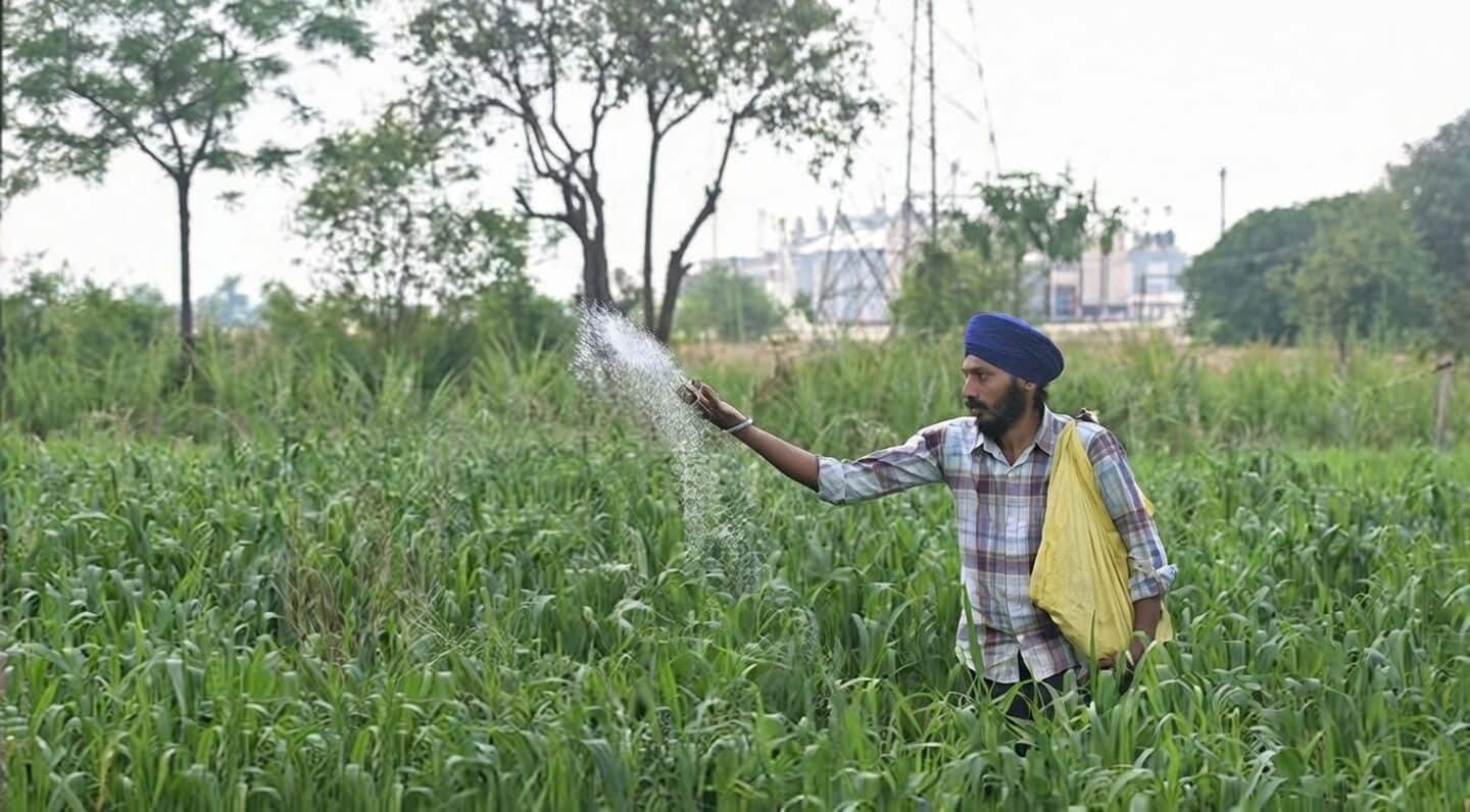 India's fertiliser output hits 5-year low amid input shortages