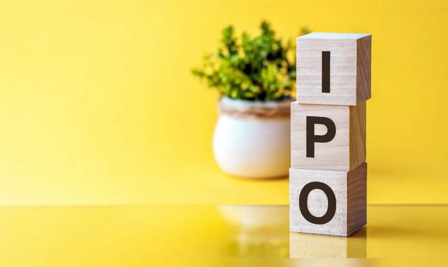 Carlsberg plans $700M IPO of Indian unit