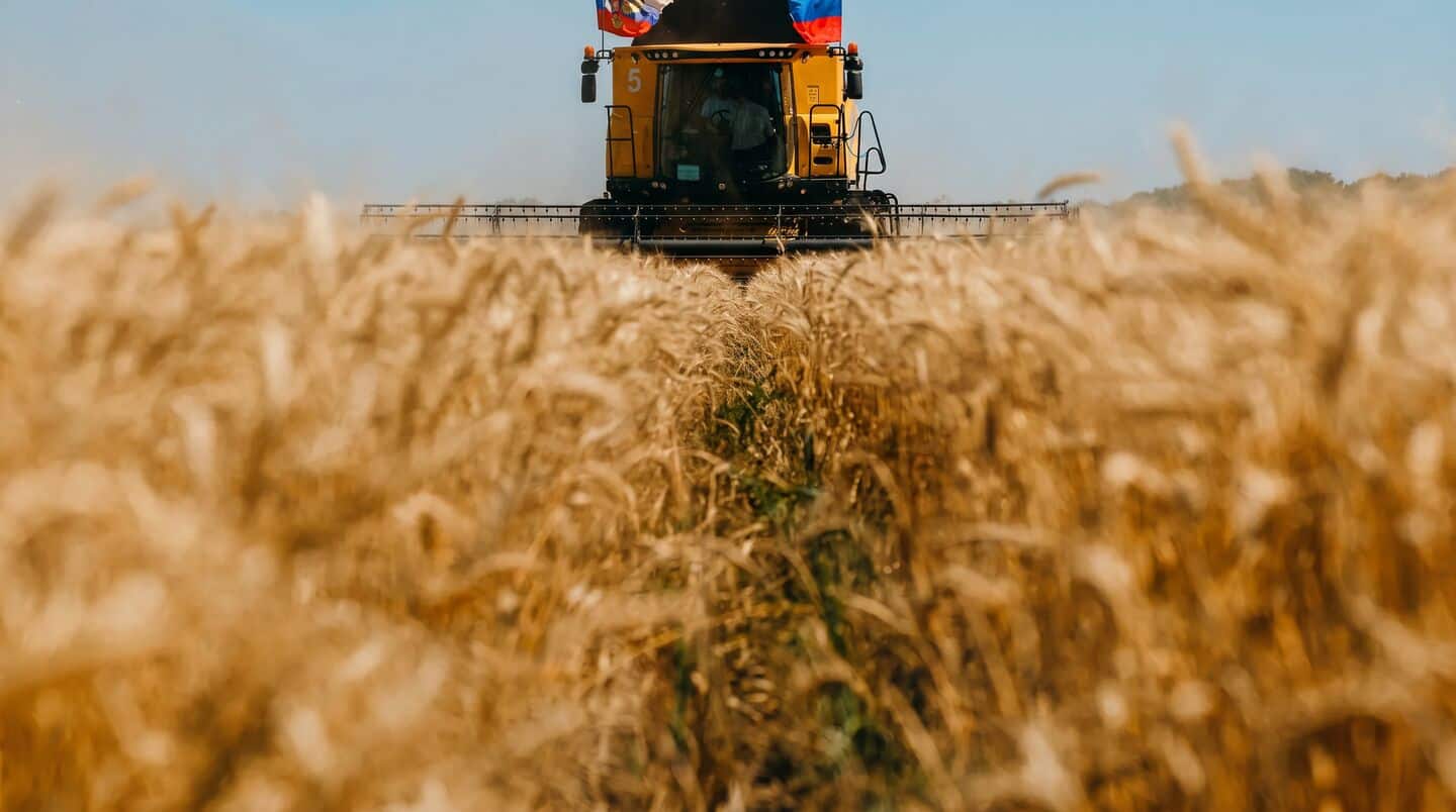 India resumes wheat exports after 4-year pause