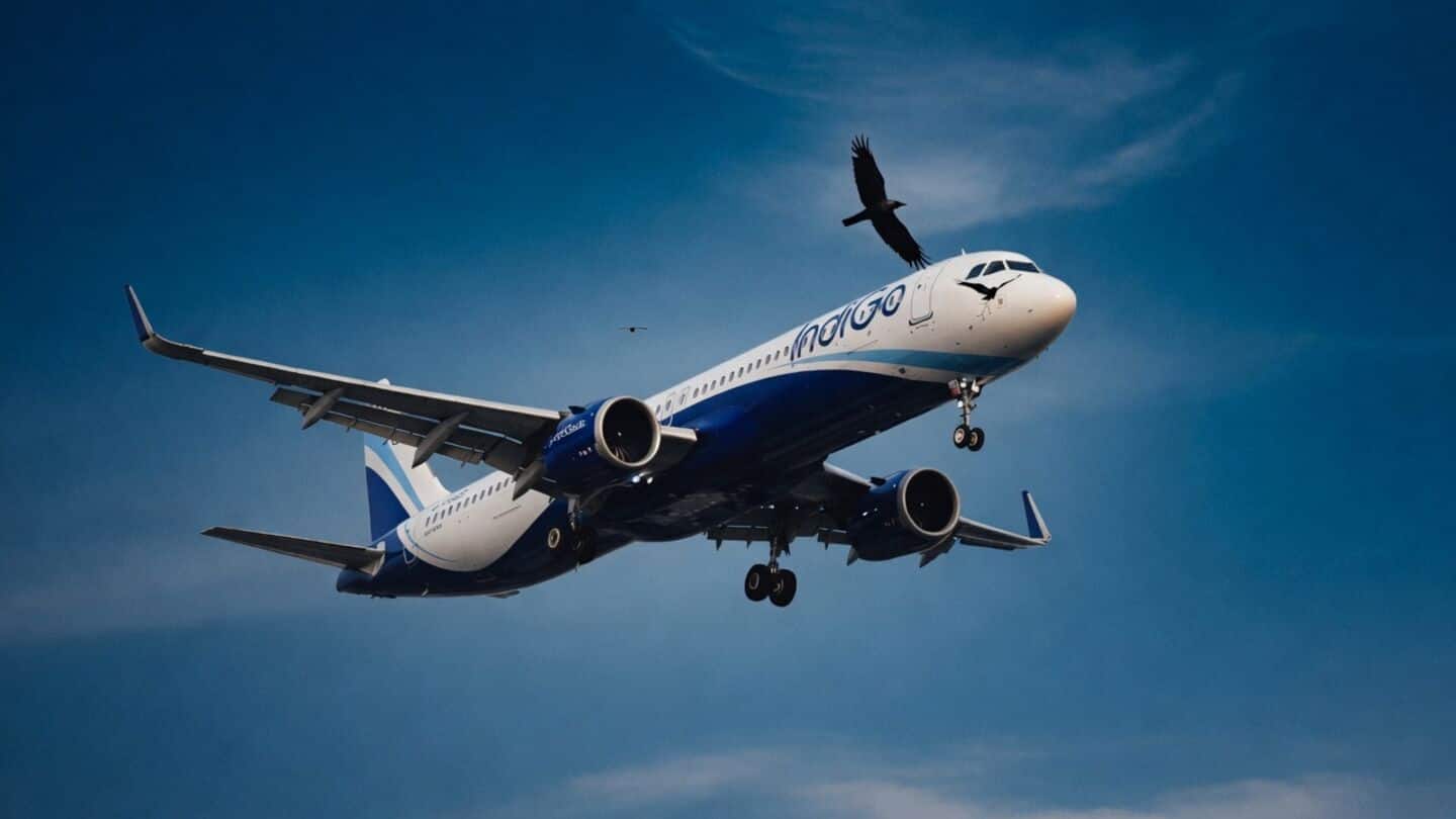 No check-in bag? IndiGo has a cheaper fare for you