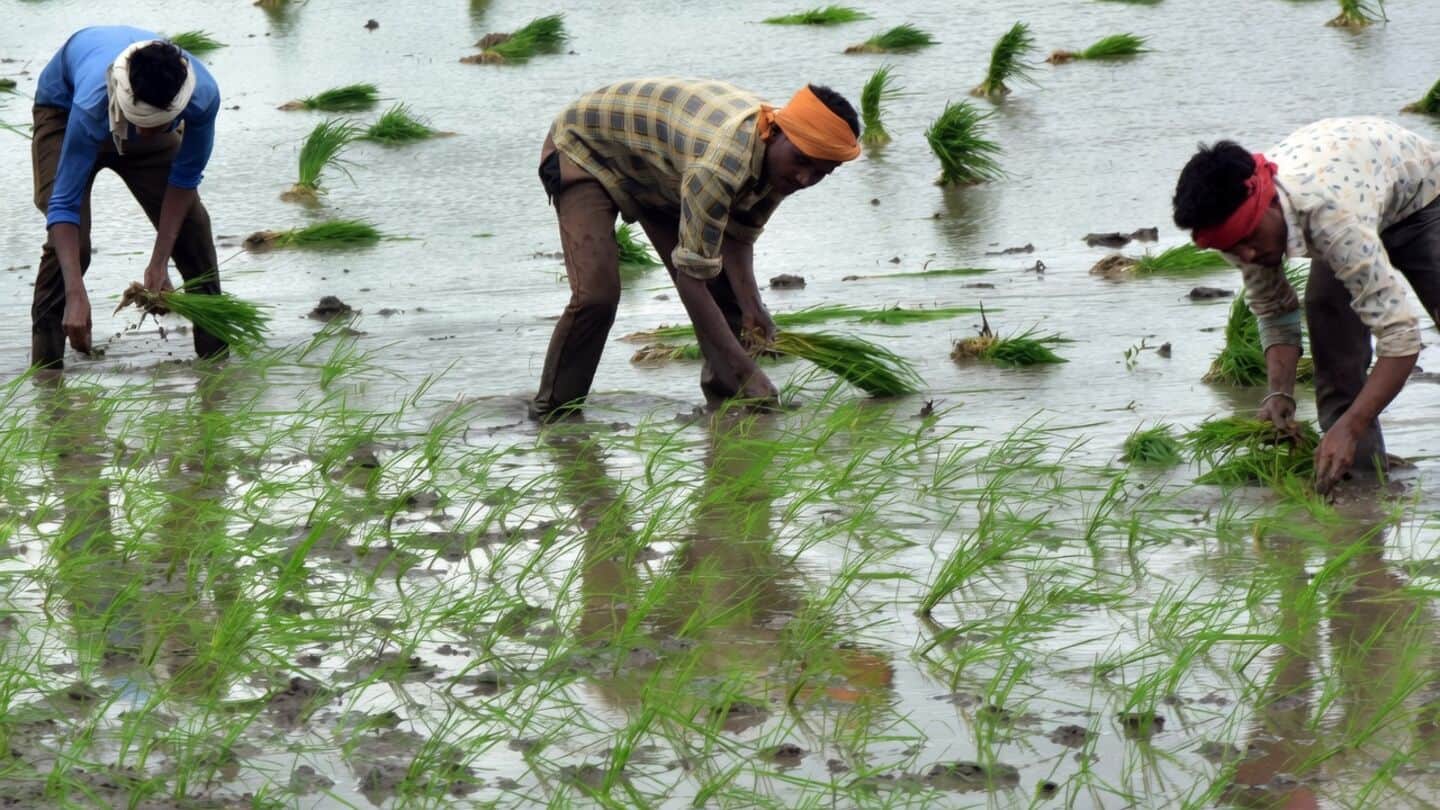 Centre extends PM-KISAN for 5 years with ₹3.15L crore outlay