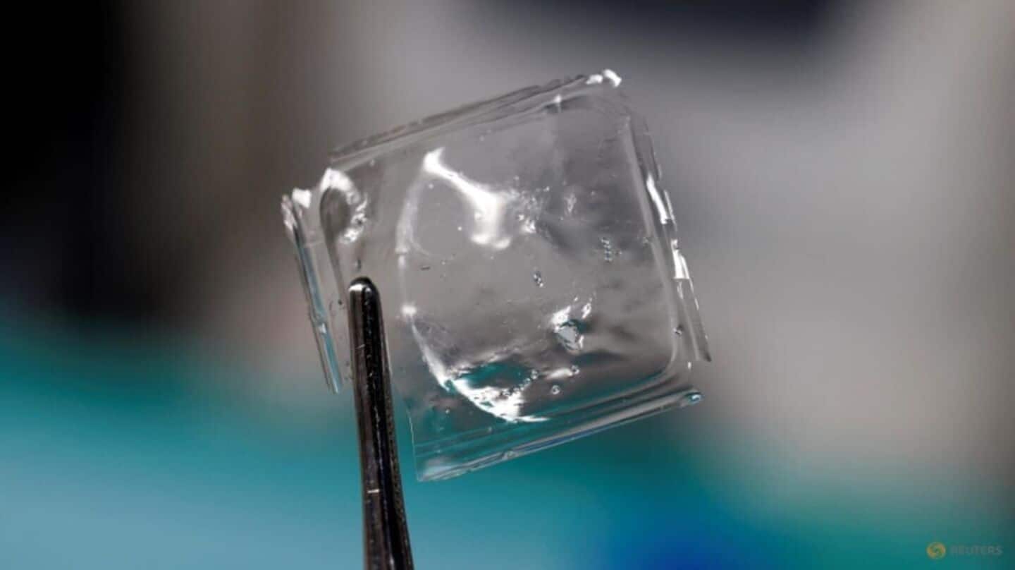 Scientists develop new plastic that dissolves in seawater in hours Scientists develop new plastic that dissolves in seawater in hours