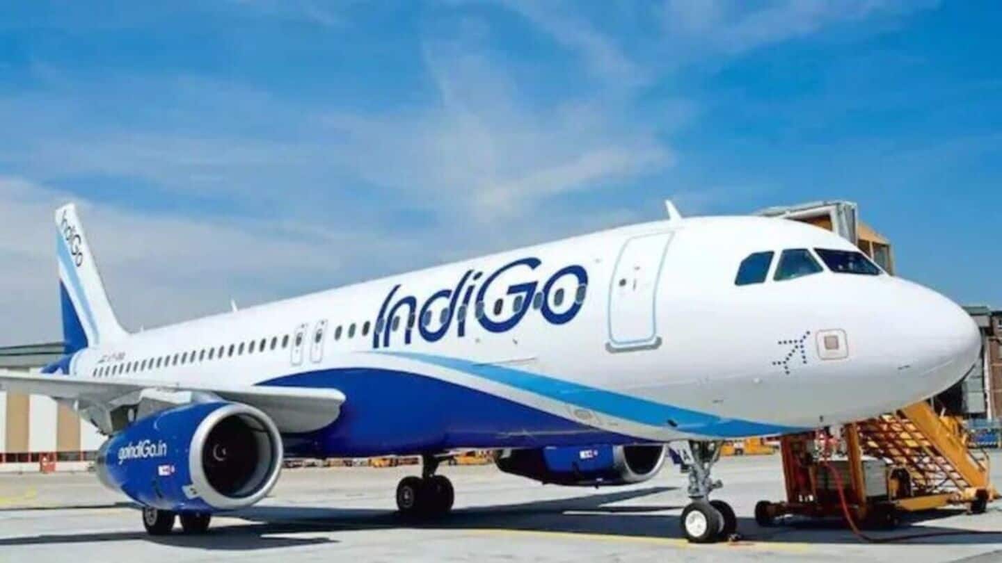 IndiGo's market cap plunges by ₹25,000cr amid flight cancellations