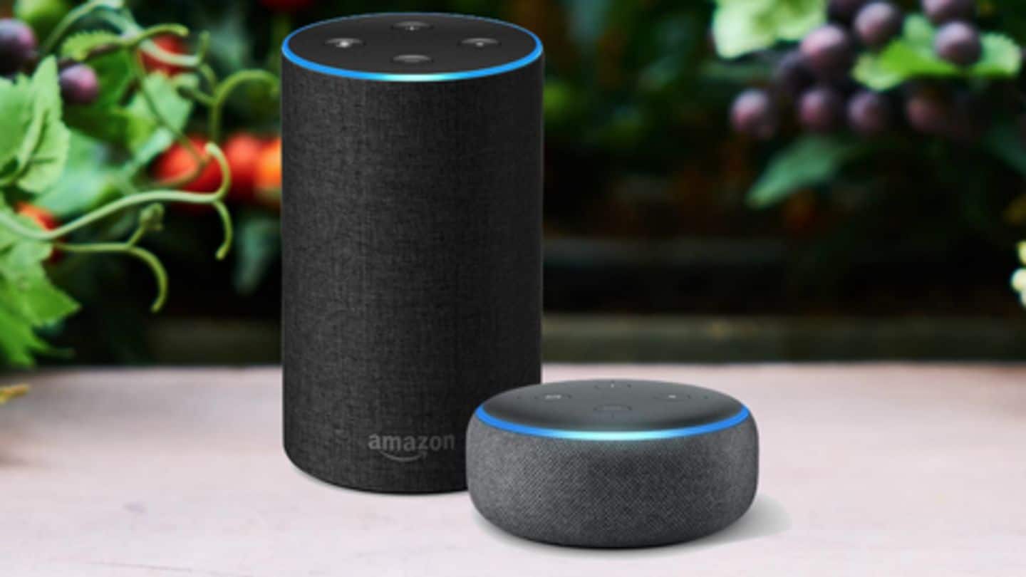 Amazon Dot v/s Echo: Which one should you buy?