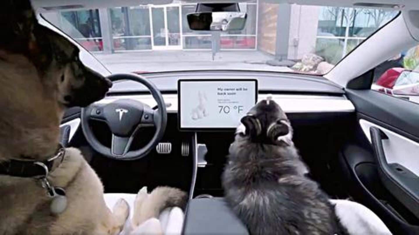 Tesla cars also come with a dedicated Dog mode Tesla cars also come with a dedicated Dog mode