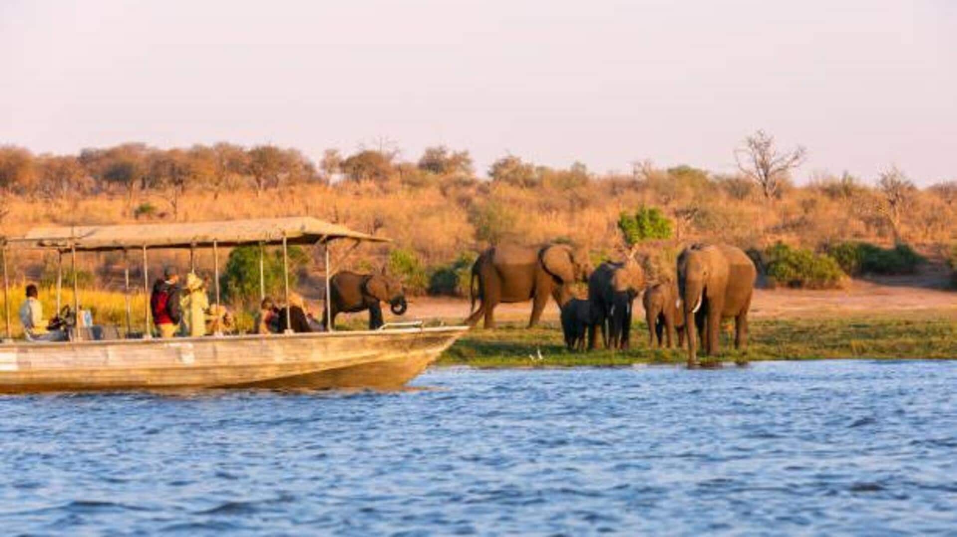 River safaris: The ultimate wildlife experience River safaris: The ultimate wildlife experience