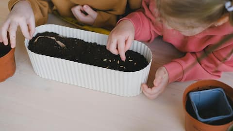 5 fun indoor gardening ideas for your home
