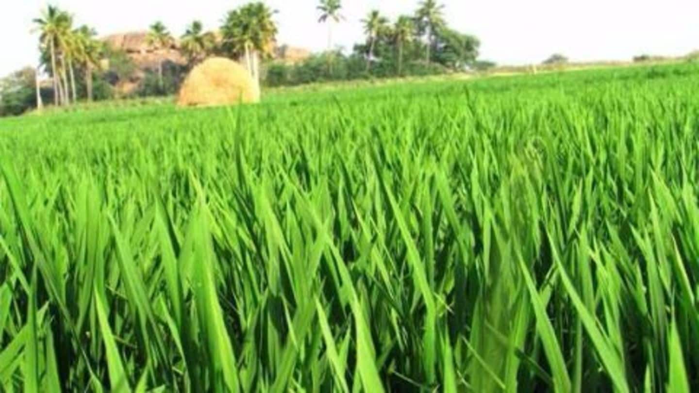 Programme Kisan launched by government