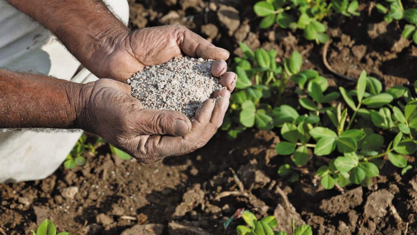 India rethinks fertilizer policy after 20% subsidy spent, official says