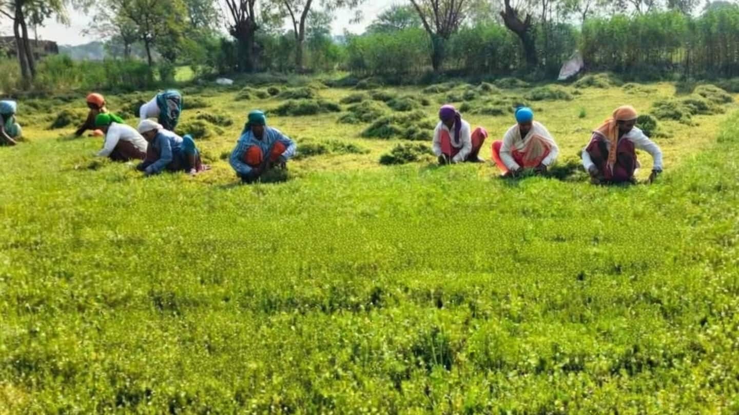 Maharashtra land records scam affects 1.5L farmers