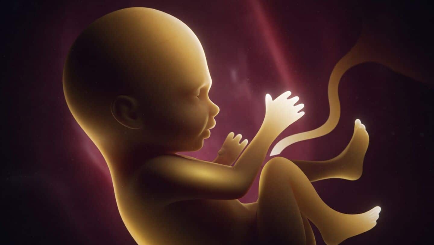 AIIMS Delhi study finds pollution particles cross placenta, trigger inflammation