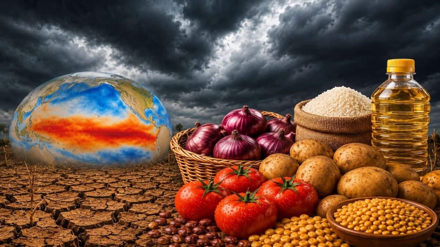 El Nino, biofuels and energy costs raise global food prices