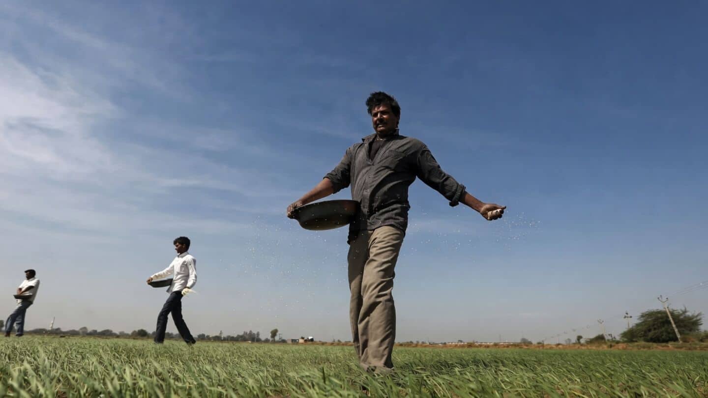 Global urea prices drop 40% to $572 aiding Indian farmers
