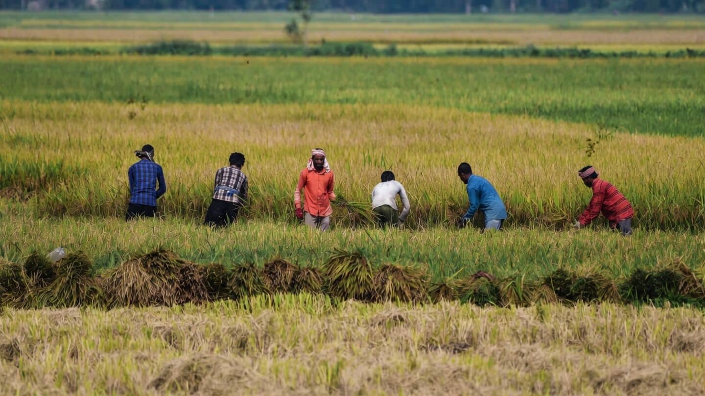 India's monsoon nearly 14% below normal as of Aug. 29