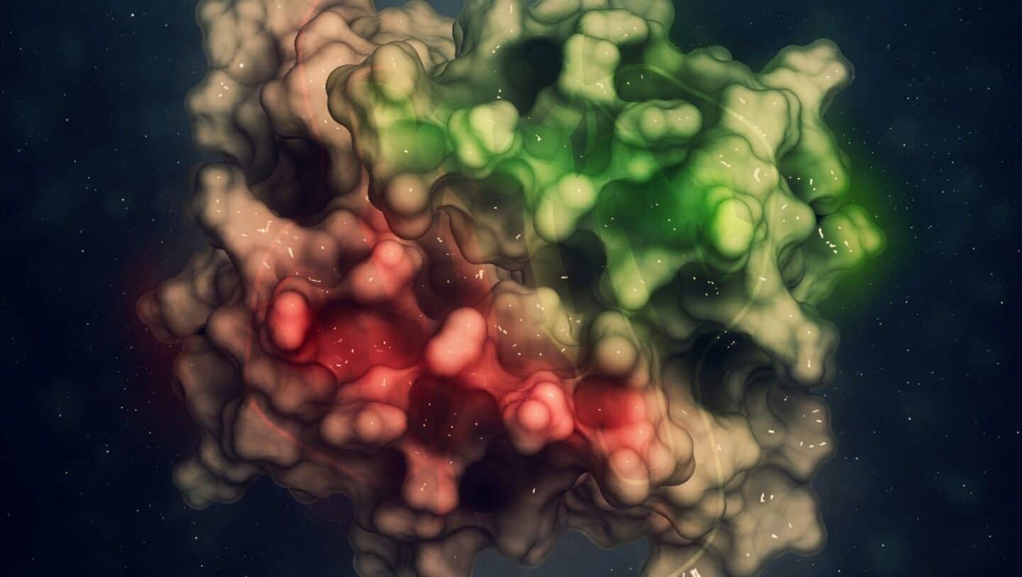 University at Buffalo study suggests TTP boost aids aging mice