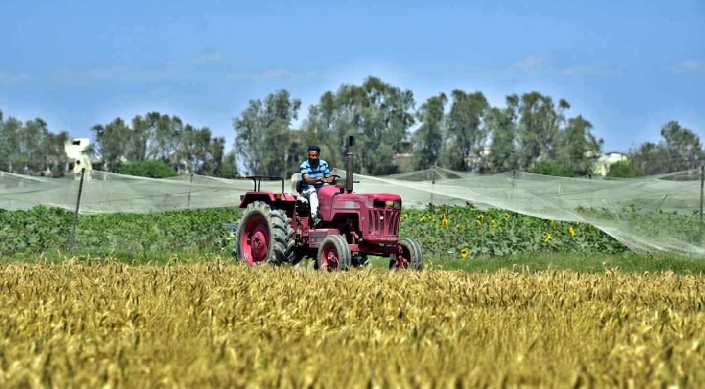 Unusual March heat wave hits Haryana: Temperatures soar to 37.5 degrees Celsius