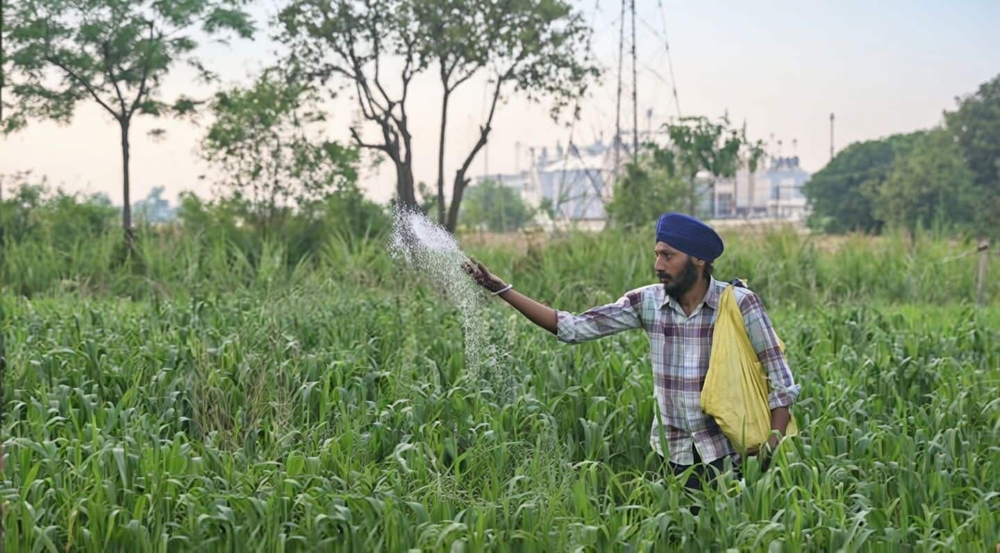 West Asia conflict cuts India fertilizer output 24.6% in March