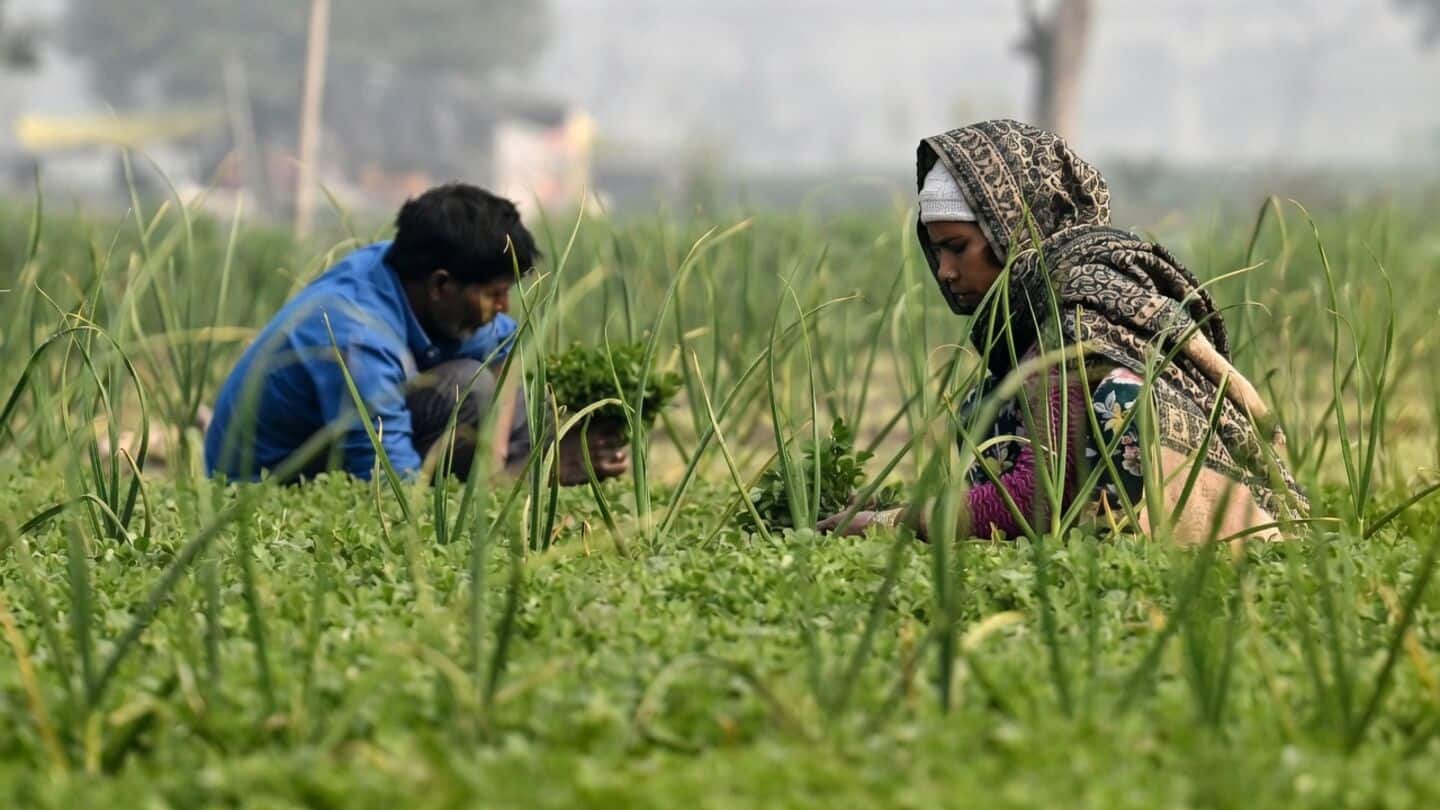 World Bank says India's economy holding up amid global slowdowns