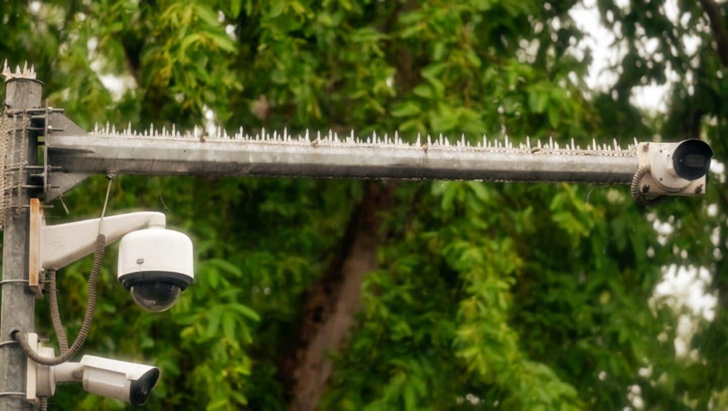 Delhi Police installs anti bird spikes on Lutyens's CCTV poles
