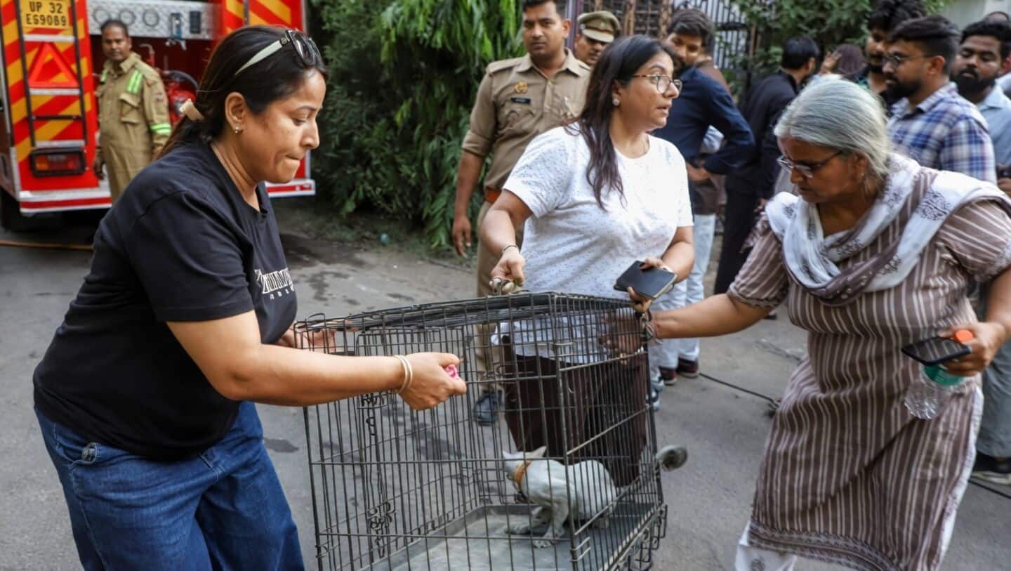 Lucknow Aliganj fire kills 15, over 30 pets trapped