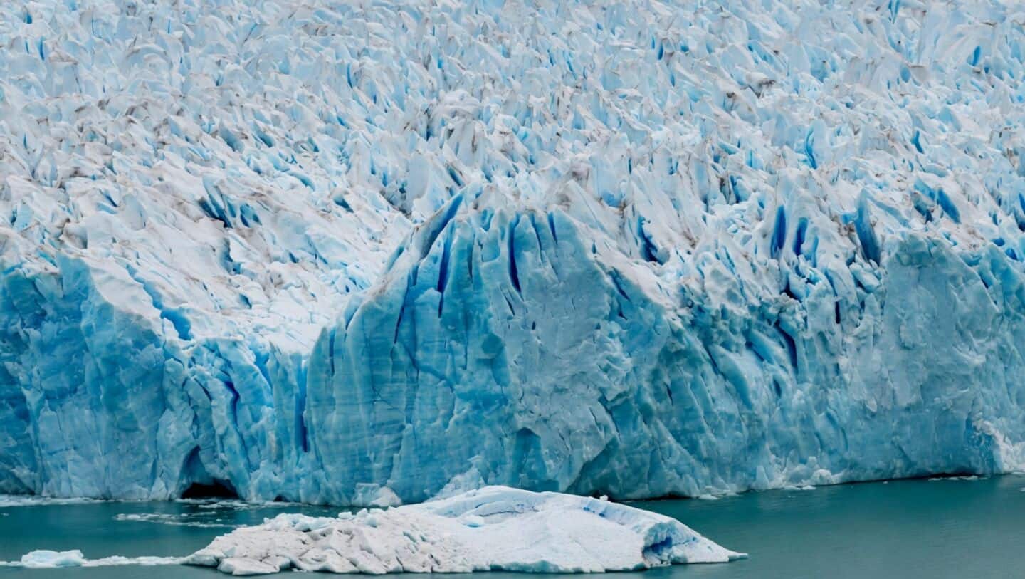 Scientists revive ancient microbes frozen in Arctic permafrost for millennia