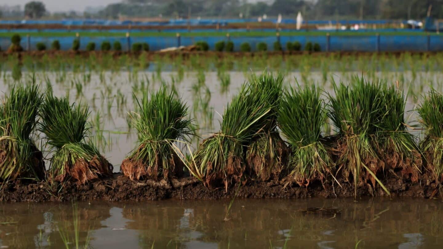India expands credit and insurance as El Nino threatens monsoon