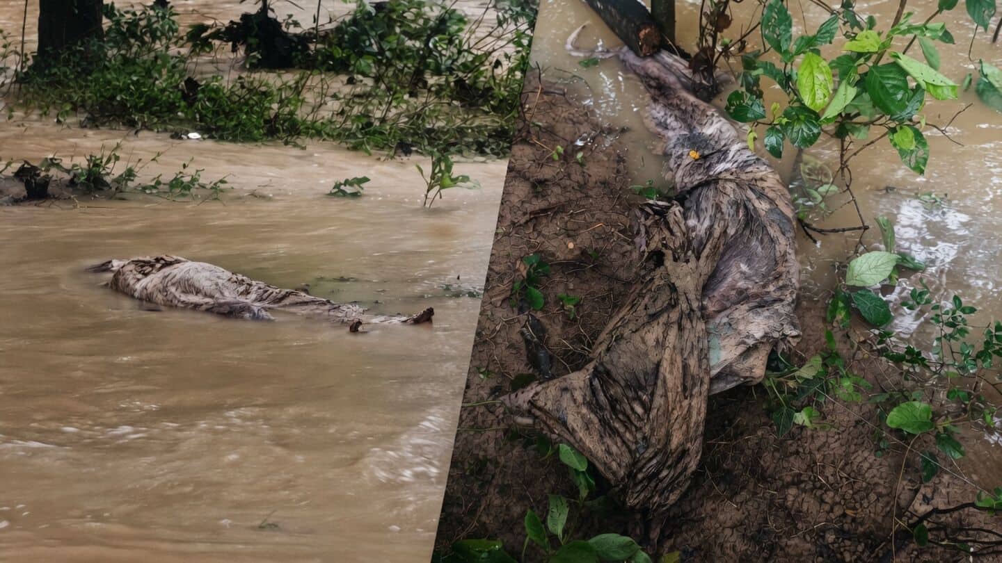 Nonstop rain in Saharanpur exposes graves, locals rebury with police
