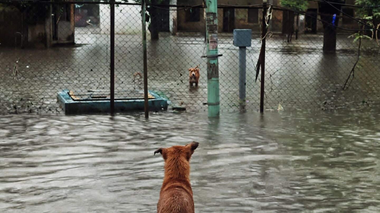 Kerala floods leave 25 dead, force over 18,000 into camps