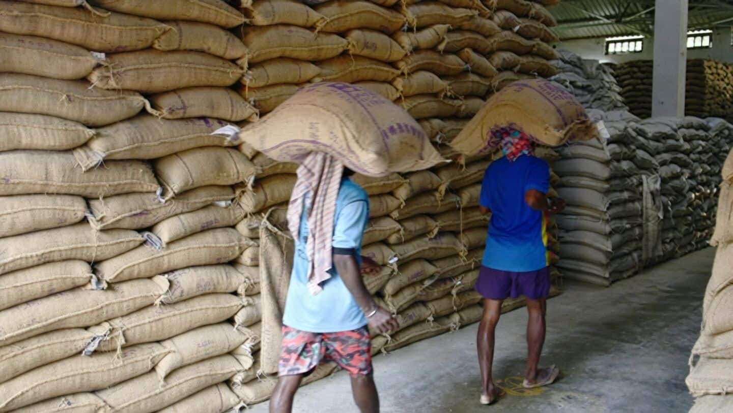 India's wheat procurement tops 35 million tons at MSP