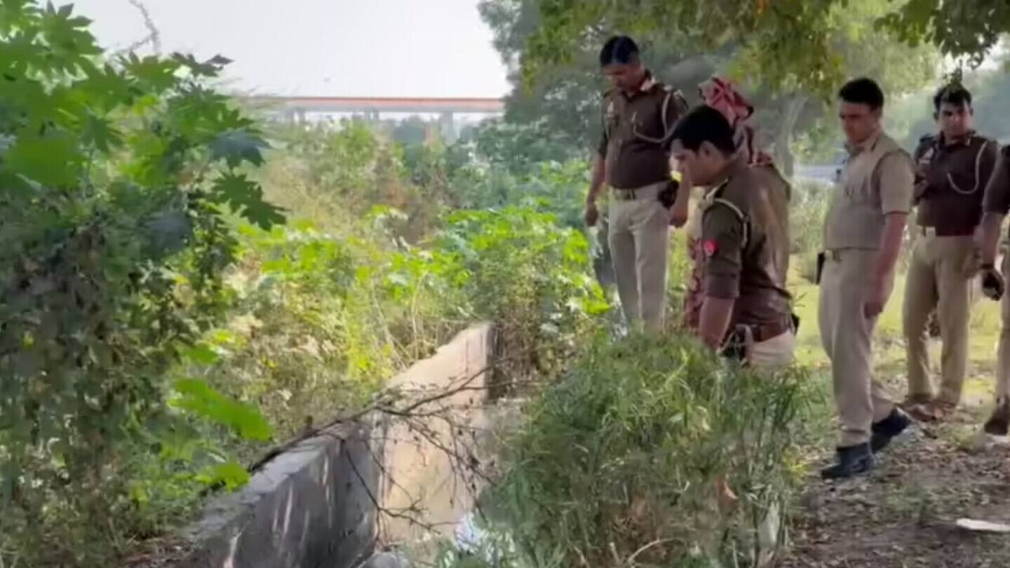 Noida man arrested for trying to harm partner's kids