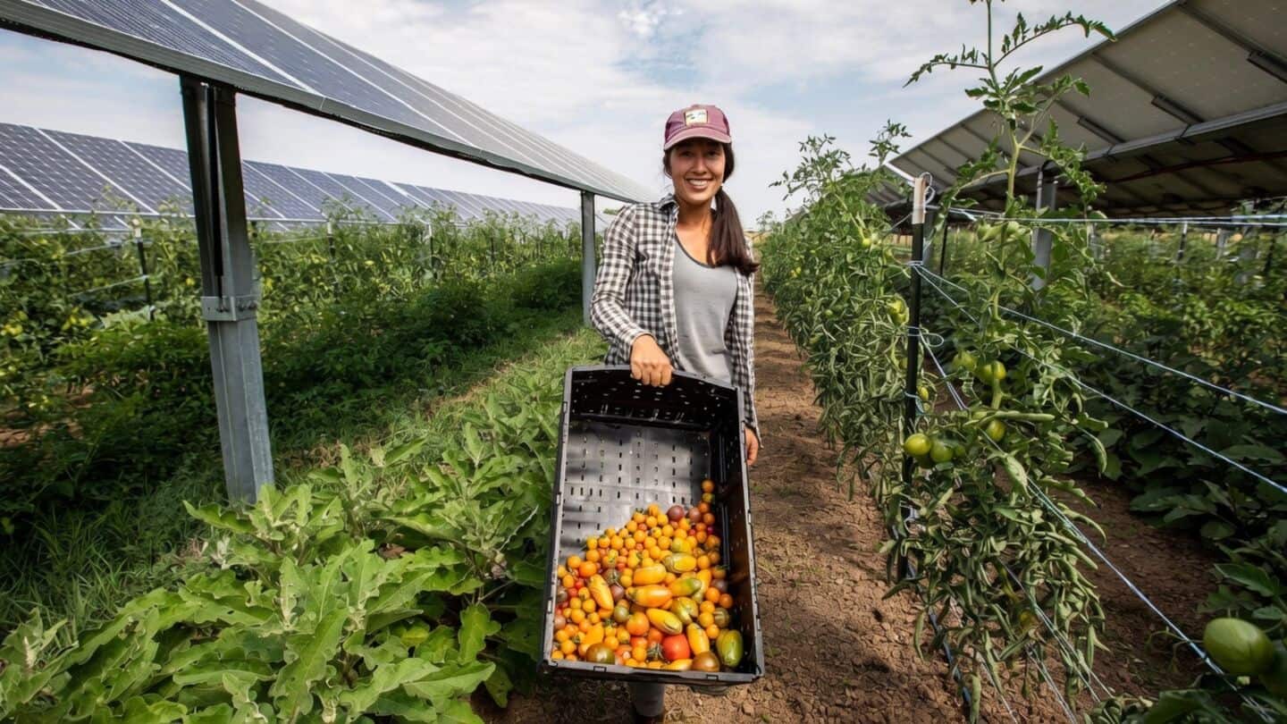Colorado farms adopt agrivoltaics combining crops with solar power