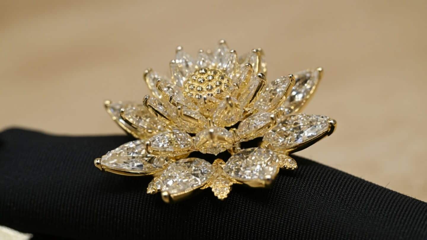 Surat sends lotus ring with lab-grown diamonds on Vikram-1 mission