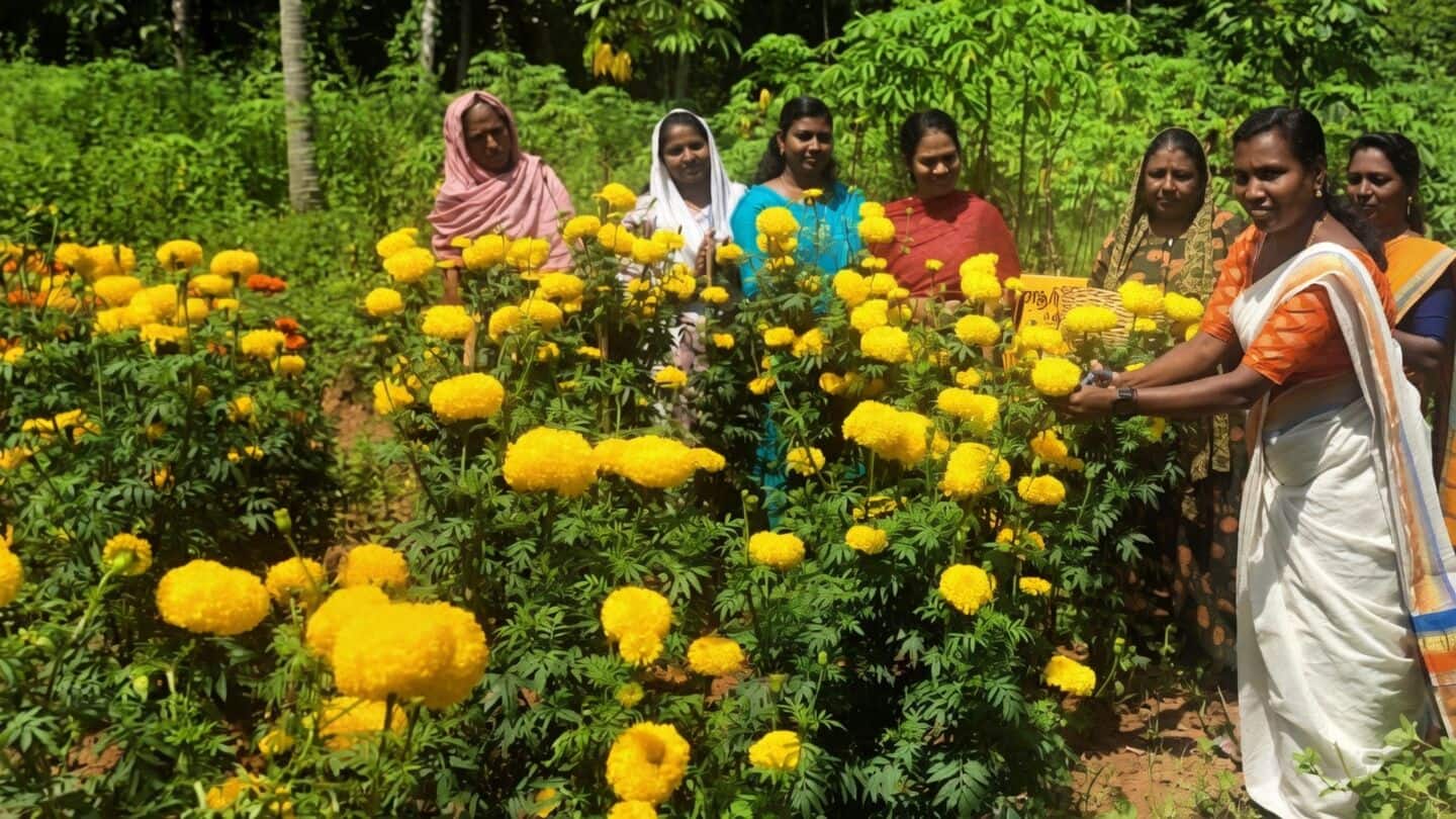 Kudumbashree Onam markets from 14 districts generate ₹10.07cr sales