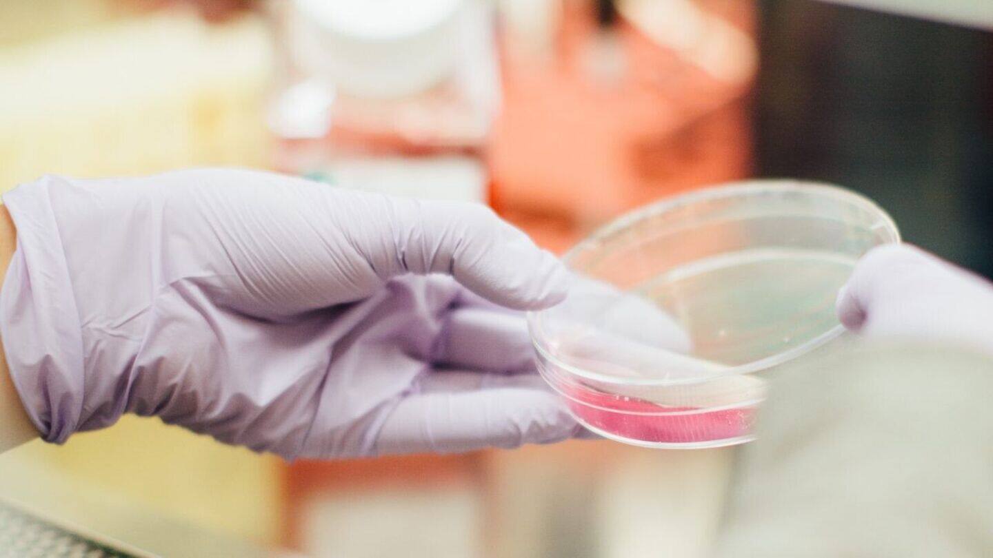Indian scientists innovate heat-based cancer treatment
