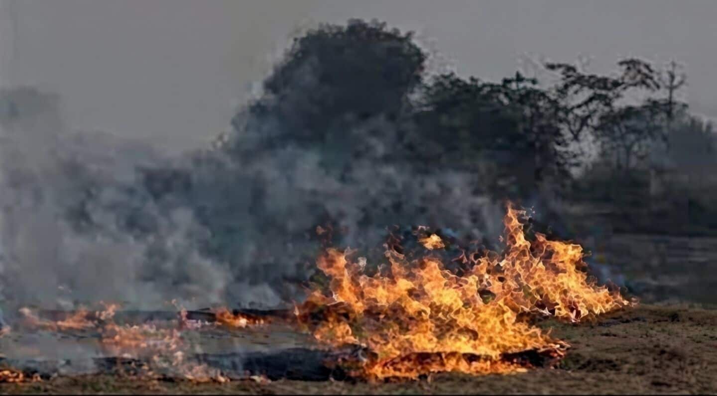 Haryana records 2,657 farm fires, air quality officials seek solutions