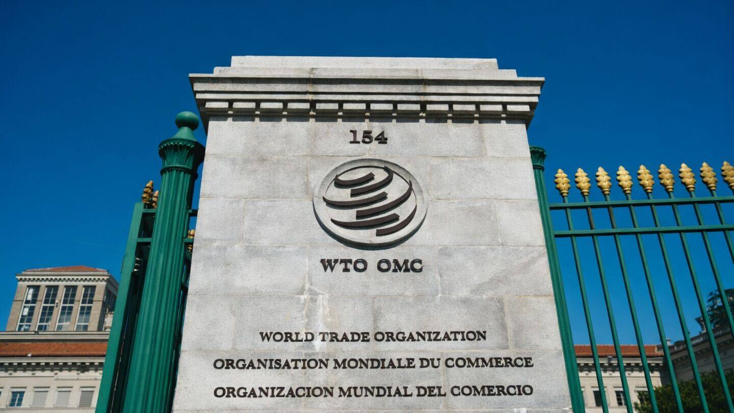 India objects to WTO interim e-commerce plan over consensus concerns
