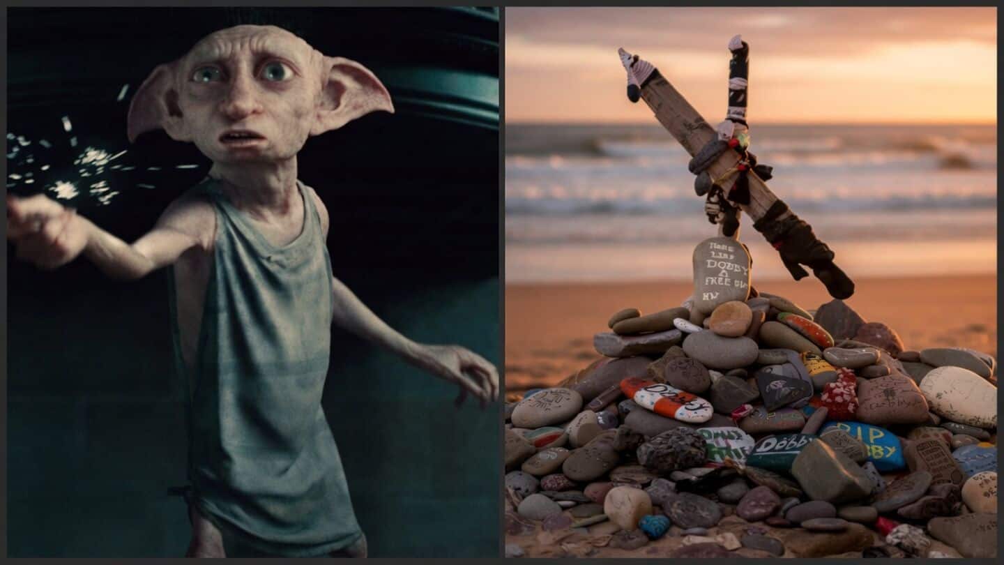 'Harry Potter' fans save Dobby grave as Greenlink reroutes cable