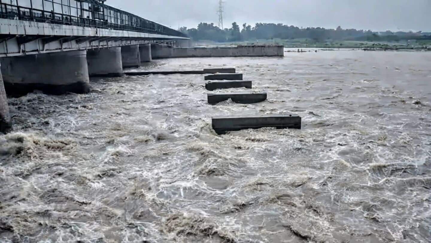 Gurugram responsible for about 70% of Yamuna pollution before Delhi