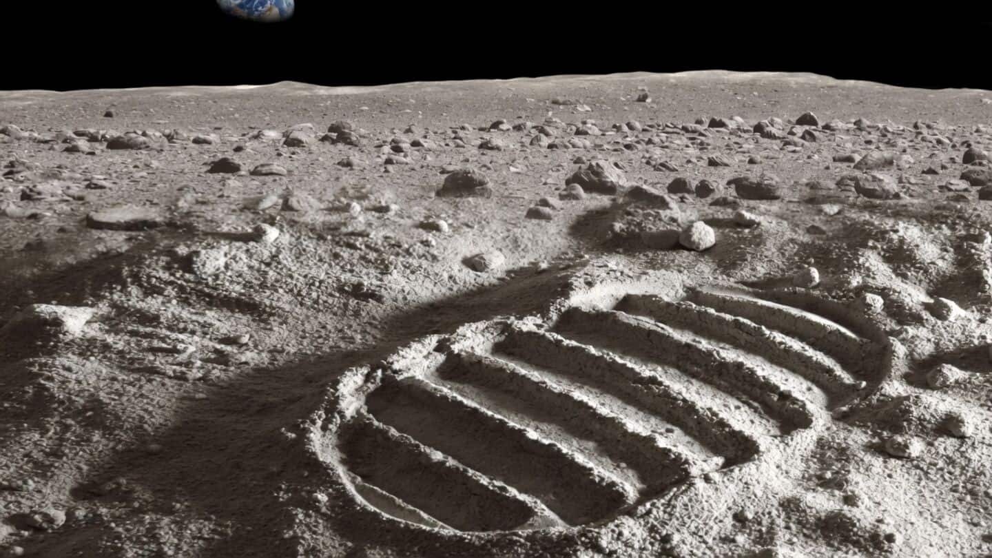 NASA experiments show bacteria and fungi survive Moon's coldest regions