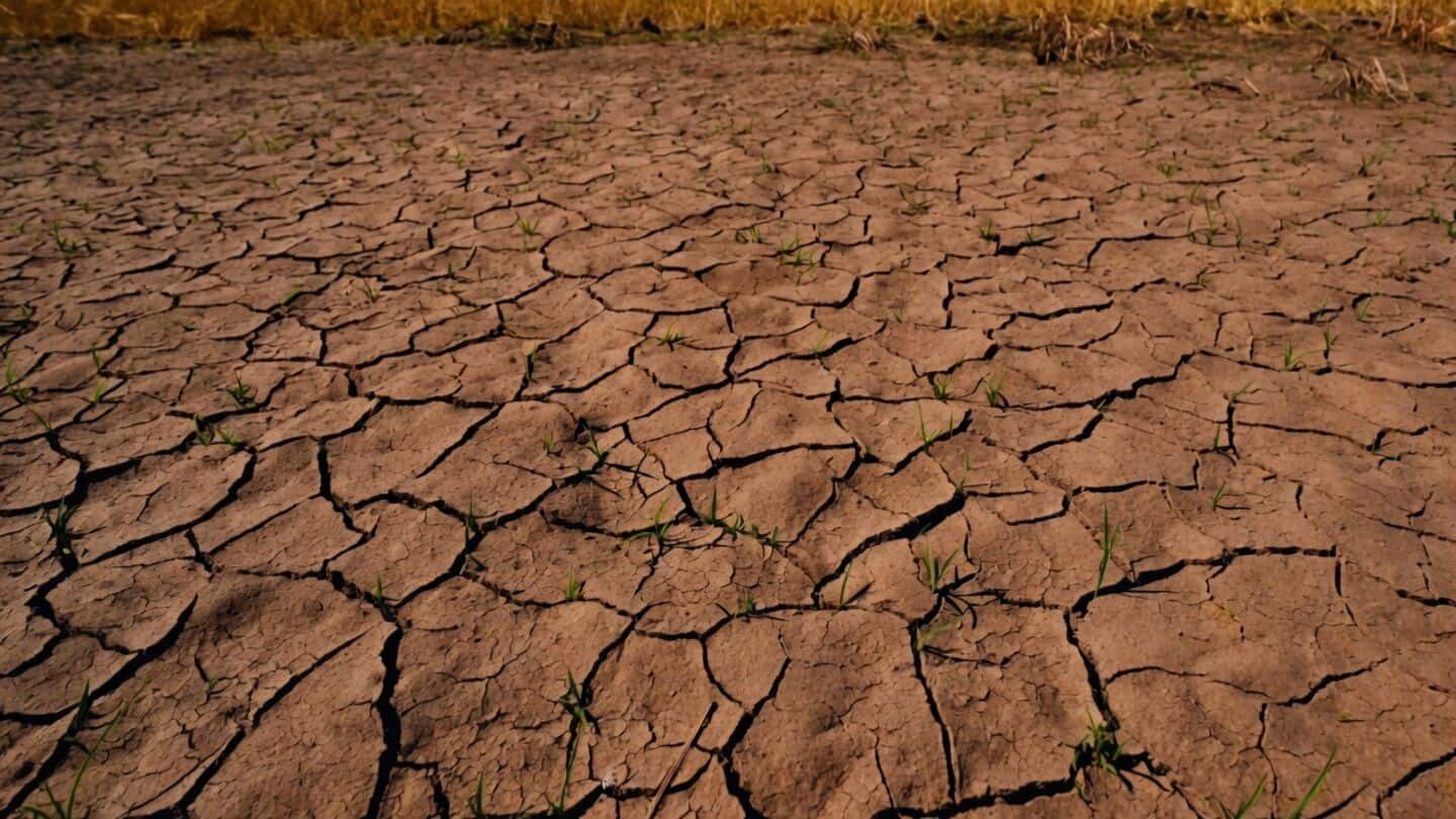 El Nino driven drought affects 53.2% of India's landmass